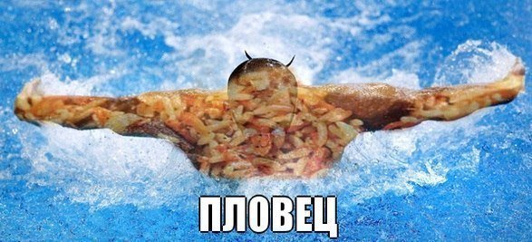Пловец Мем