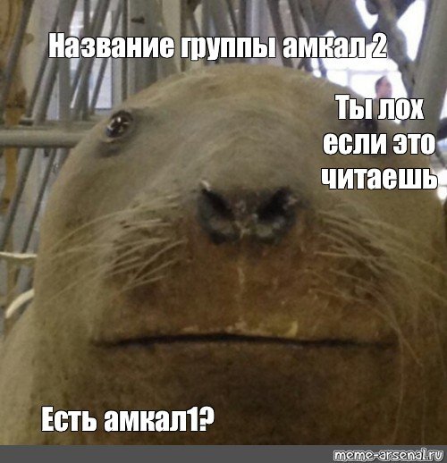 Человек морж