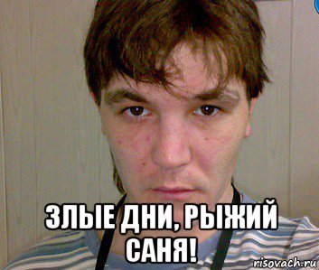 Мемы про рыжих