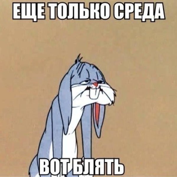 Мемы кот невыспавшийся