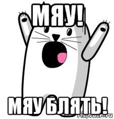 Надпись мяу