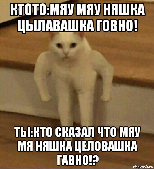 Miau Мем