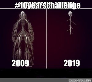 Нервная система до сессии