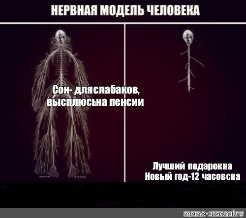 Нервная система Мем