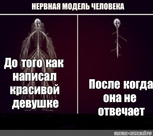 Моя нервная система