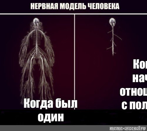 Мемы про нервную систему