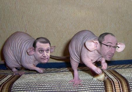 Девушка в превращается крысу