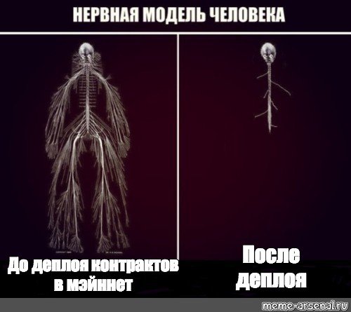 Нервная система Мем