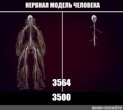 Мемы про нервную систему