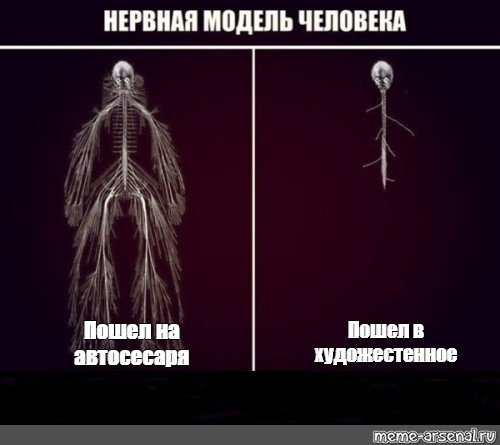 Нервная система до и после Мем