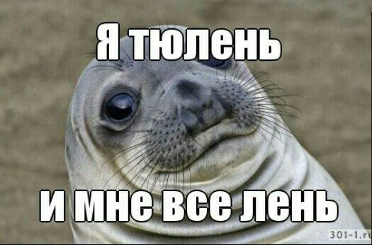 Тюлень Мем