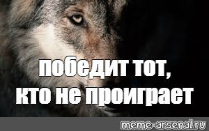 Волк Мем