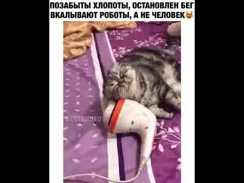 Позабыты хлопоты