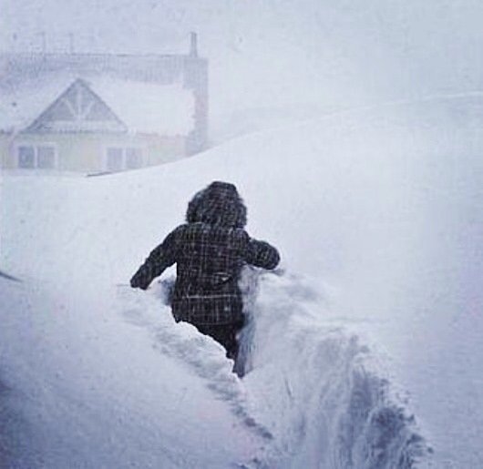 Все равно пойду на работу снег