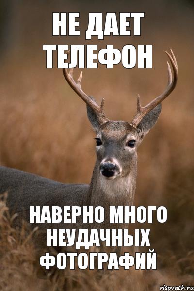 Олень Мем