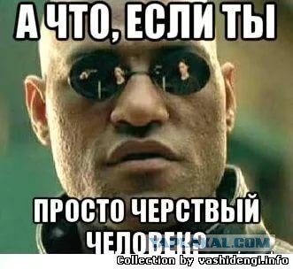 Ты черствый сухарь