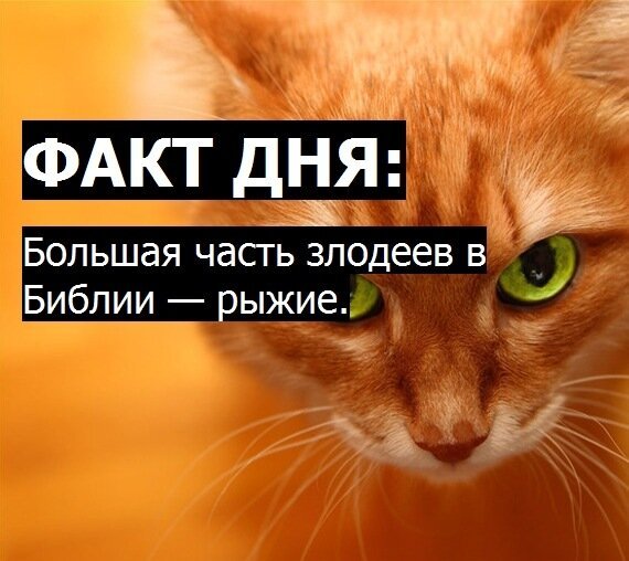 Шутки про рыжих