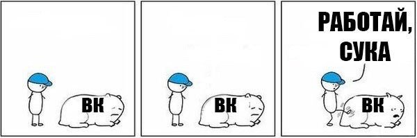 Парень пинает свинью