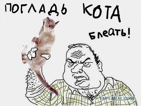Котейка с кулаком