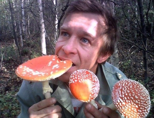 Ест мухомор