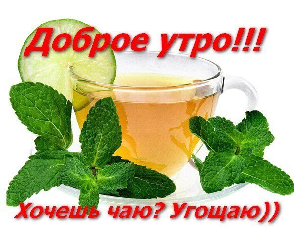 Хочу чай