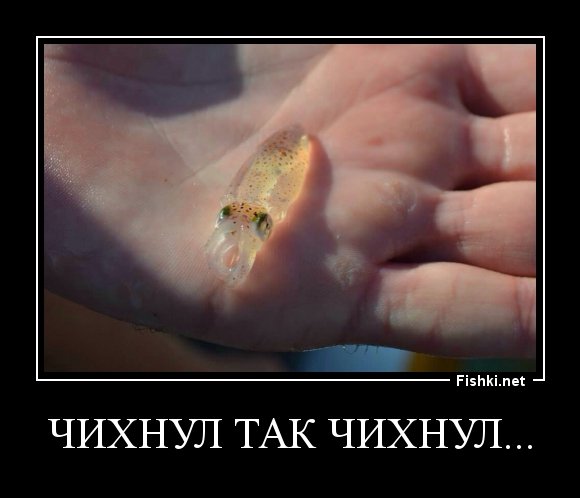 Вот чихнула так чихнула картинки