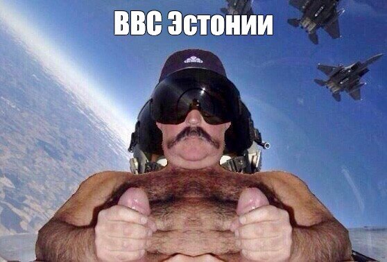 Мужик пилот