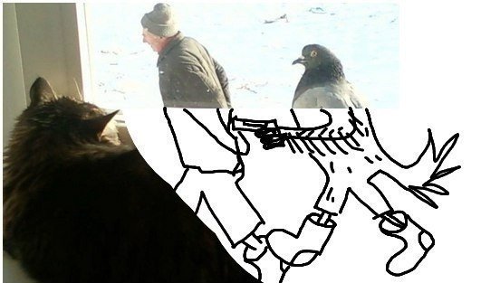 Голубь фашист