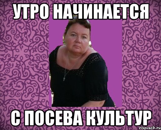 Мемы про культуру