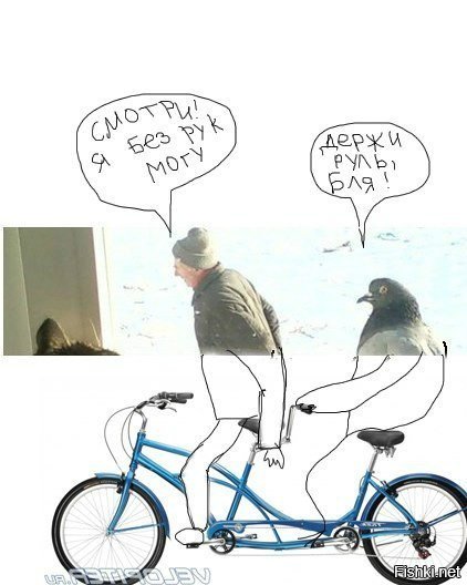 Прикол голубь фашист