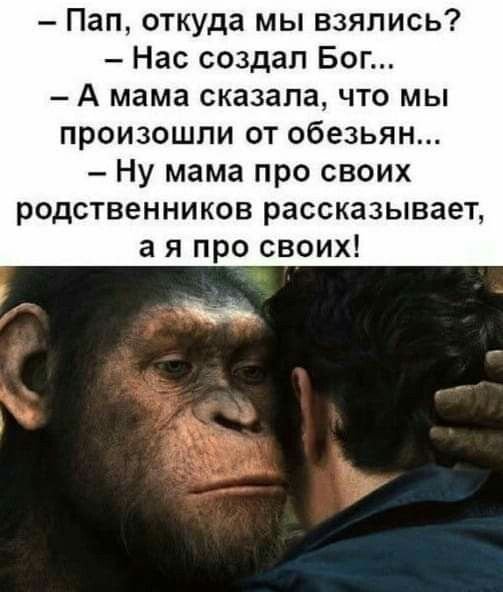 Человек не произошел от обезьяны