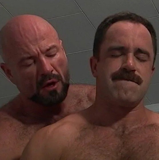 Steve Harley гачимучи