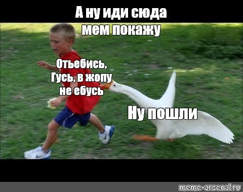 Гуси хуюси