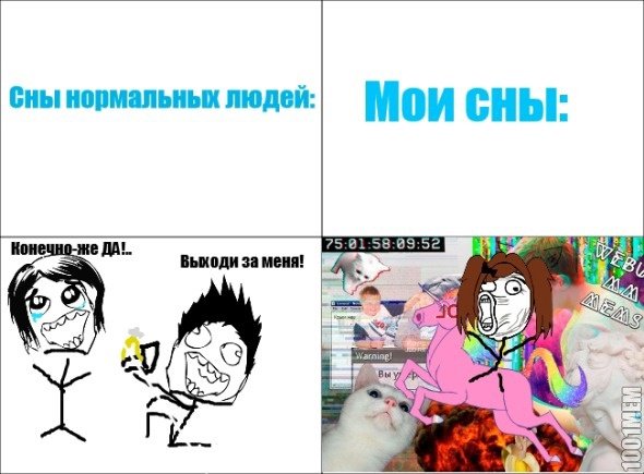 Мемы нормальные люди и я