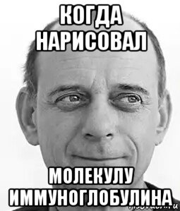 Молекула Мем