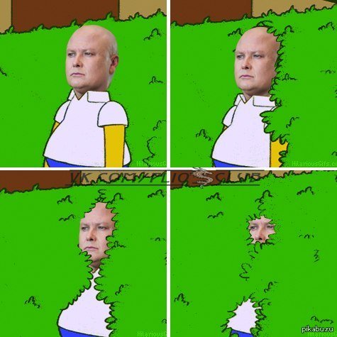 Мем исчезает в кусты