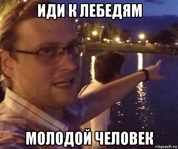 Иди к лебедям Мем
