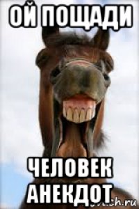 Пощади человек анекдот Мем