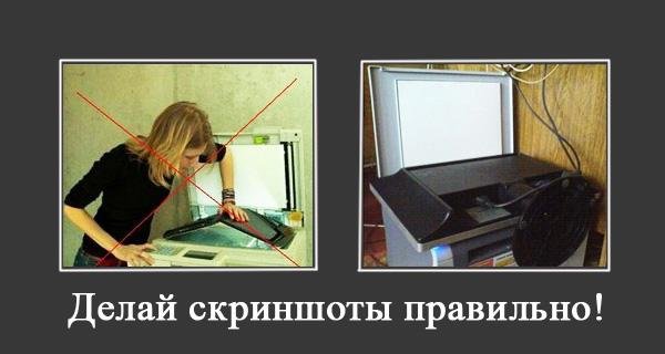 Сфотографировал монитор