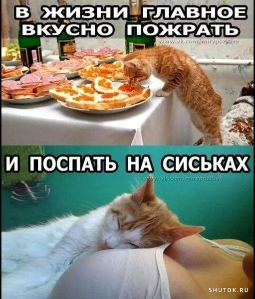 С надписями парню