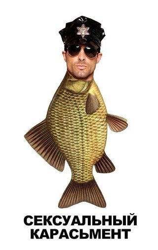 Смешной карась