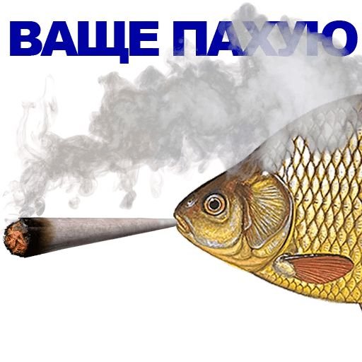 Карась прикольный