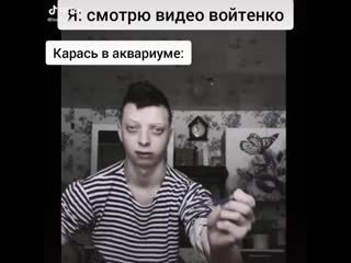 Карась из тик тока
