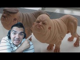 Пес с человеческим лицом