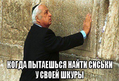 Шутки про квест