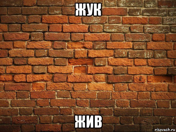 Я стена я кирпич
