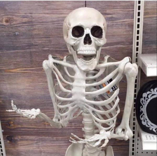 СПУКИ скэри скелетон скелеты