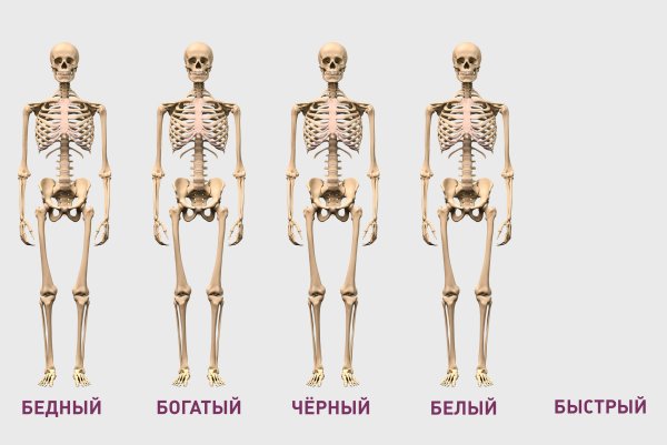 Мем одинаковые скелеты
