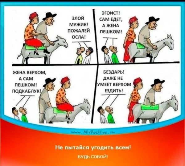 Общественное мнение прикол