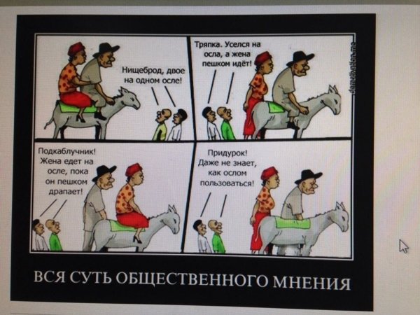 Общественное мнение юмор